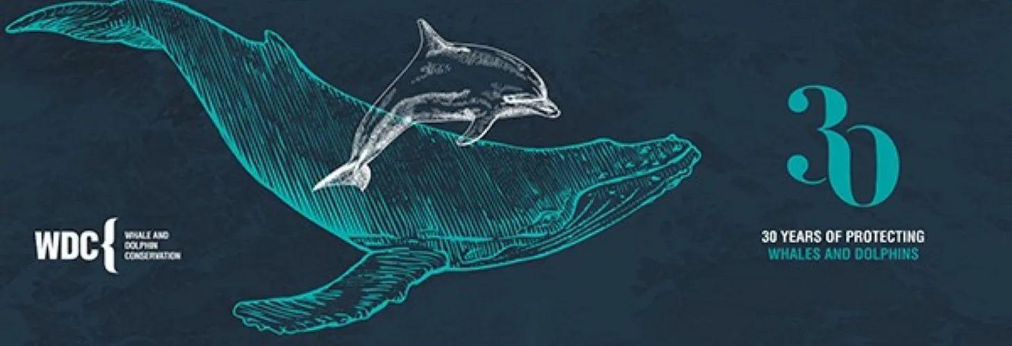 Whale and Dolphin Conservation: 30 Years of Protecting Whales and Dolphins