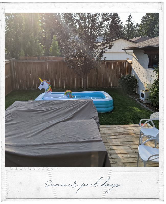 Backyard patio (with pool) polariod picture.