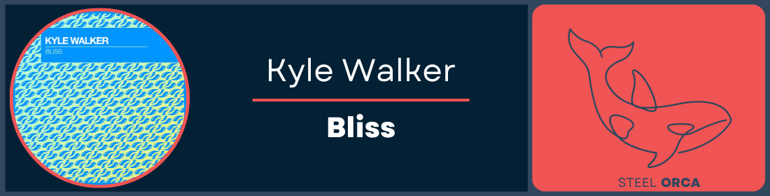 Kyle Walker - Bliss Steel Orca Banner