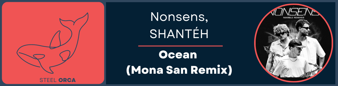Nonsens, SHANTÉH - Ocean (Mona San Remix) Steel Orca Banner