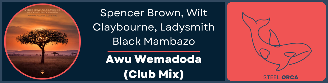 Spencer Brown, Wilt Claybourne & Ladysmith Black Mambazo - Awu Wemadoda (Club Mix) Steel Orca Banner