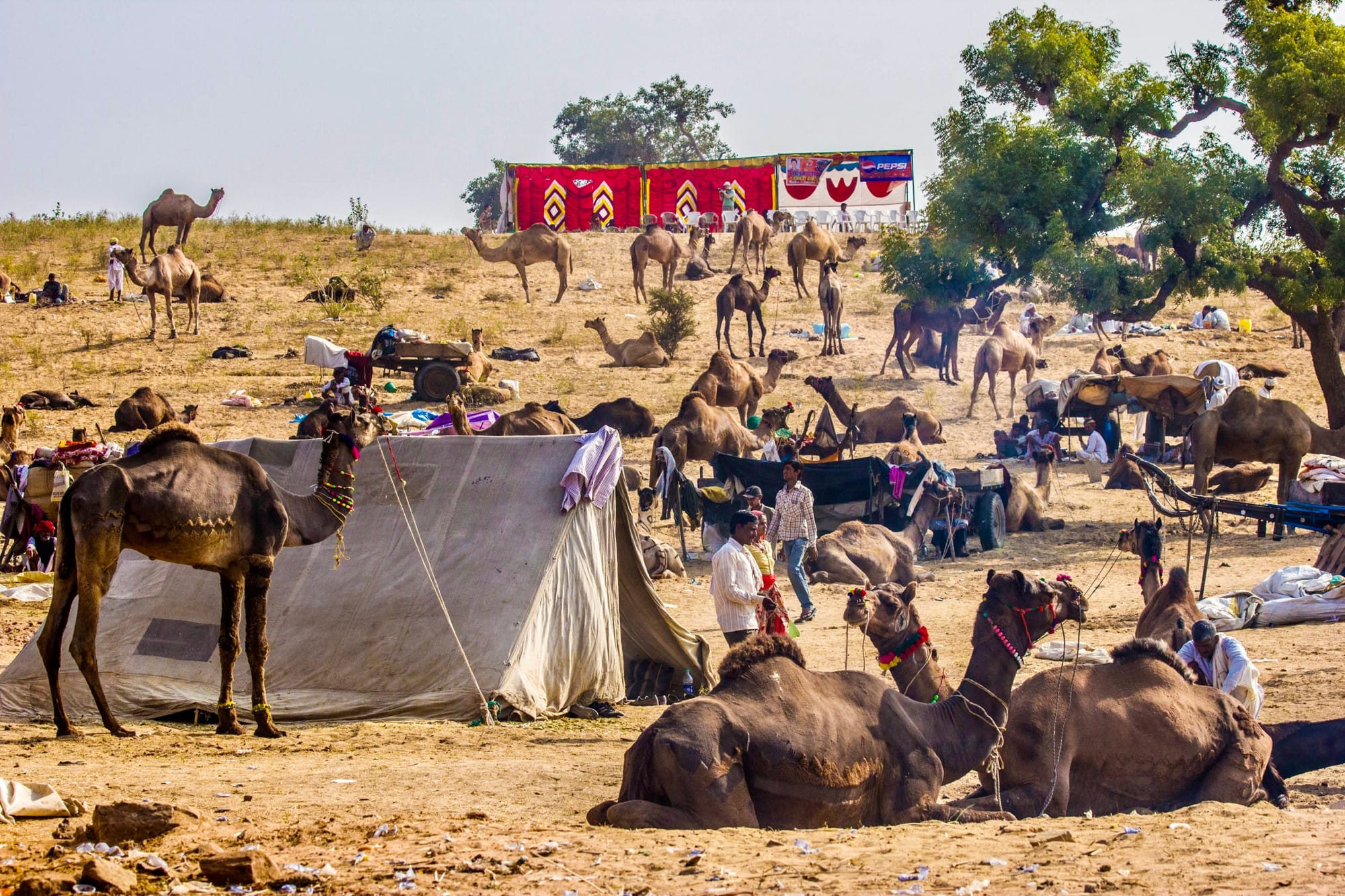 Pushkar Camel Fair, India